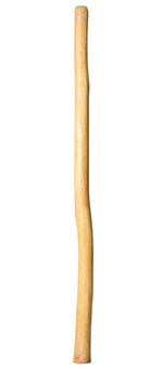 Natural Finish Didgeridoo (TW1514)